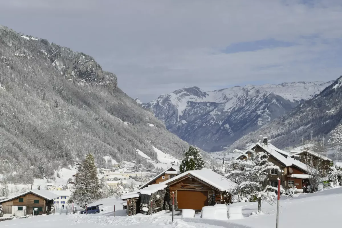 Gedanken: Wie Haltung entsteht